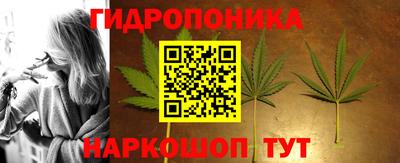 ПСИЛОЦИБИНОВЫЕ ГРИБЫ Бердск