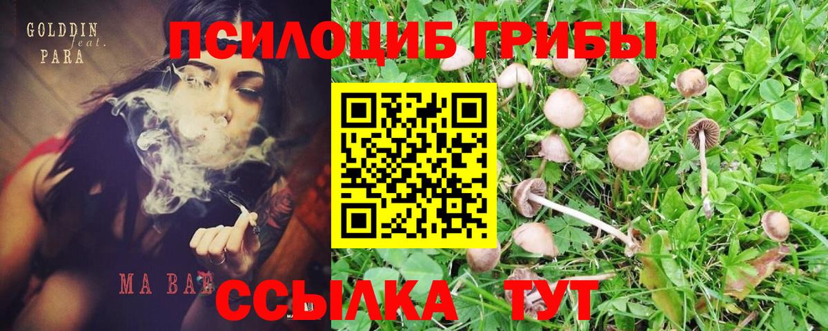 Сухой Лог  Галлюциногенные грибы ЛСД  что такое   Вход с VPN  Галлюциногенные грибы Cubensis 